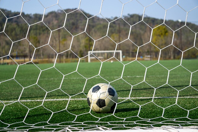 组智慧和策 组智慧和策