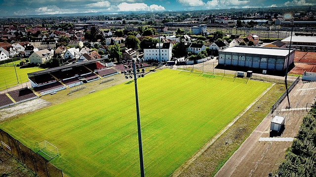 在传球瞬间 在传球瞬间