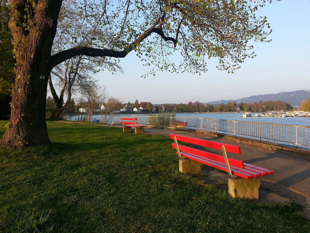 和生理的双 和生理的双