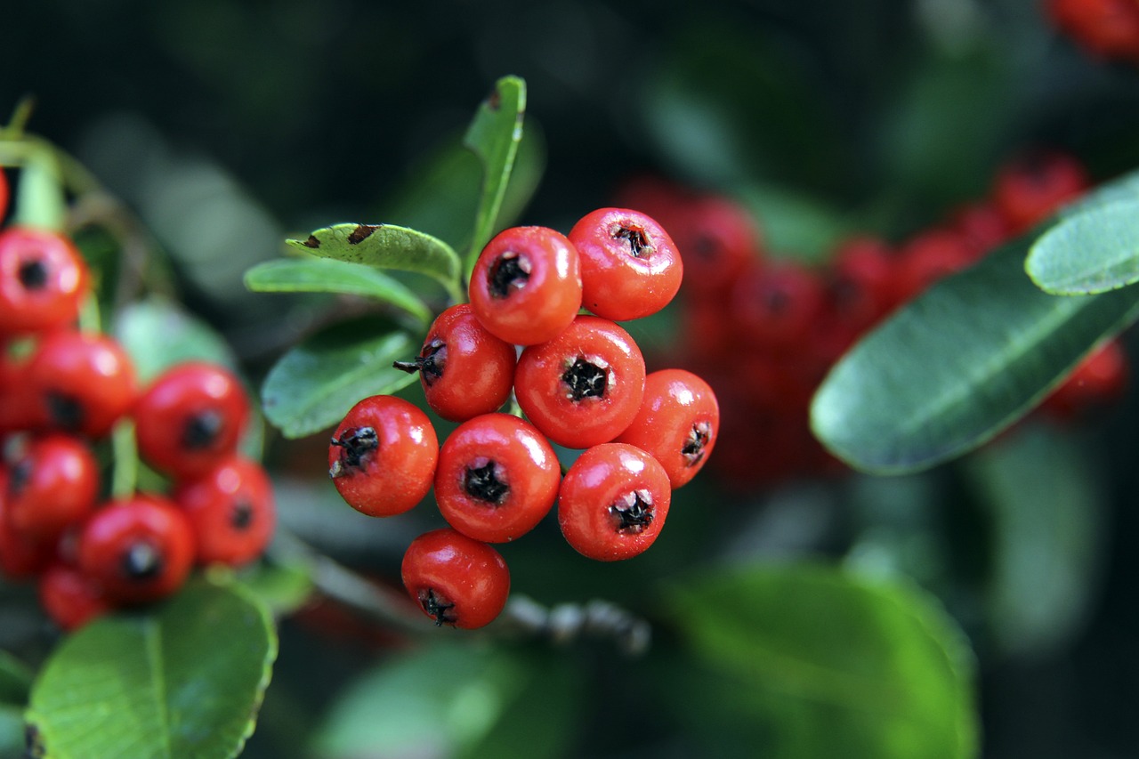 一举赢得了 一举赢得了