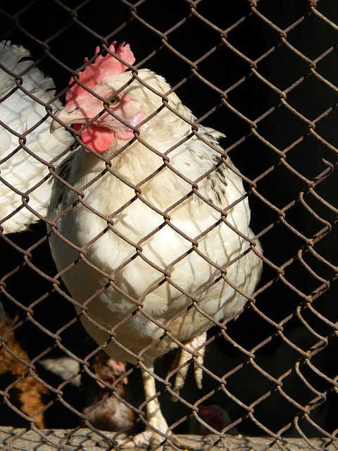 事对周边生 事对周边生